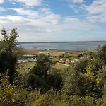 Twetty * Massaciuccoli